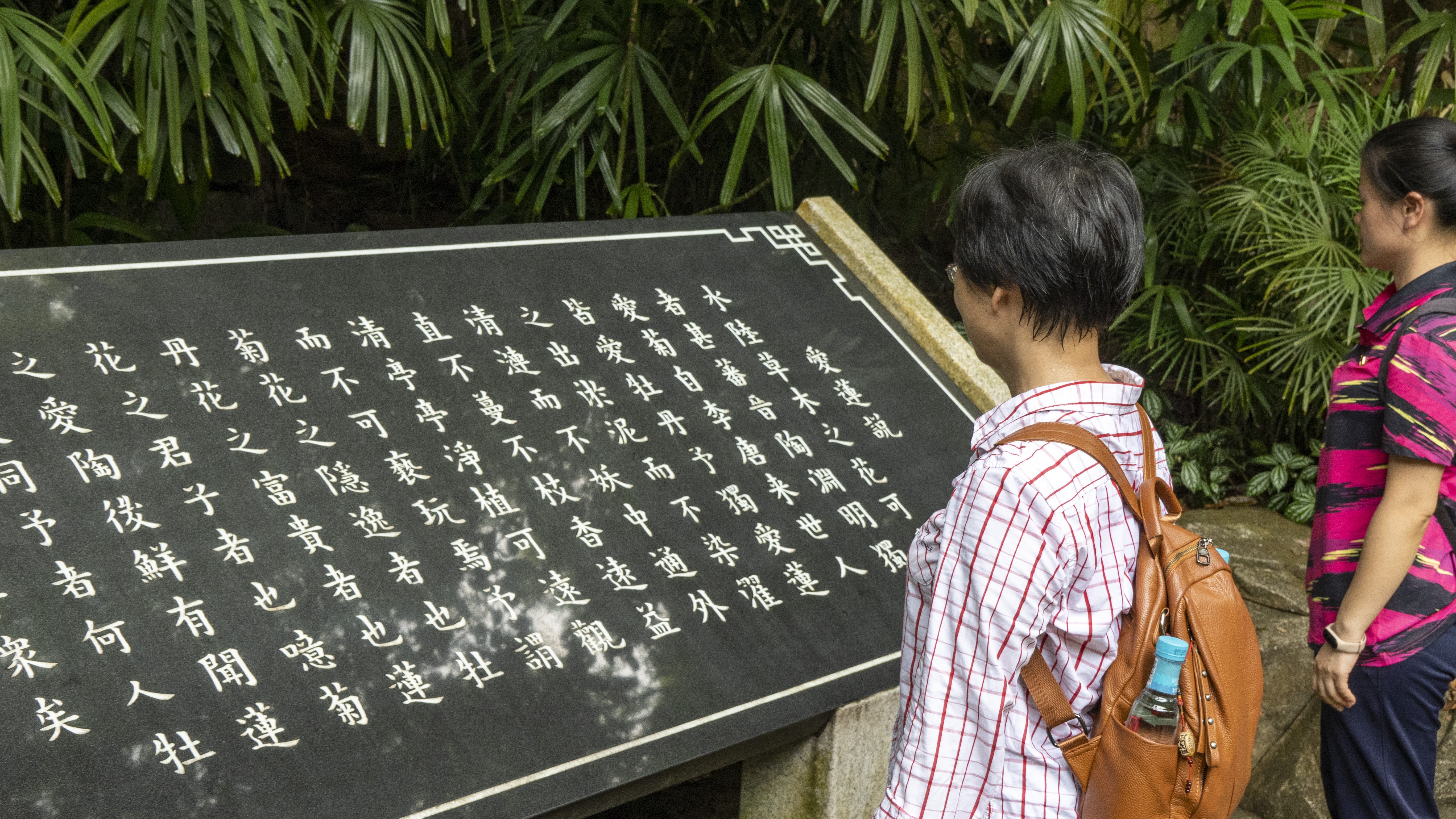 图片6.jpg 图片6.jpg