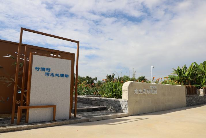 图片31.png 图片31.png