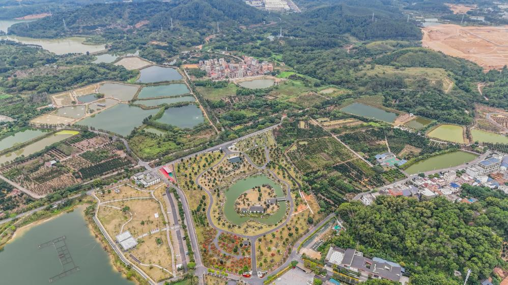 图片35.png 图片35.png